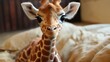  a close up of a giraffe's head and a giraffe's head and a giraffe's head and a giraffe's head and a giraffe's head.