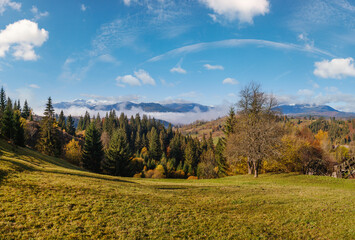 Wall Mural - late autumn mountain morning scene with snow covered tops in far and foggy clouds in valleys. pictur