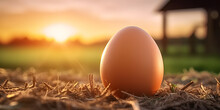Close Up Of A Fresh Egg . Farm Background At Sunrise.