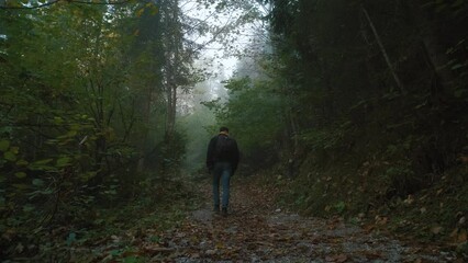 Wall Mural - Man traveler walks through the forest to the mountains. Incredibly beautiful views in the Alpine mountains. Hiking route in the Alps mountains in autumn
