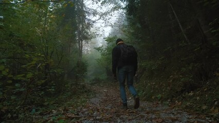 Wall Mural - Man traveler walks through the forest to the mountains. Incredibly beautiful views in the Alpine mountains. Hiking route in the Alps mountains in autumn