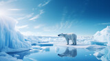 A wild polar bear alone in the arctic