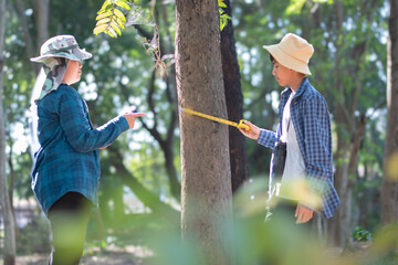 Young asian schoolboy measuring a size of tree trunk with a measuring tape and recording information of trees for school botanical garden library.