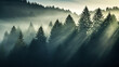 Dense Fog Rolling Over a Mystical  forest  where