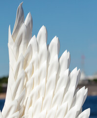 Wall Mural - White angel wing as background. Decoration