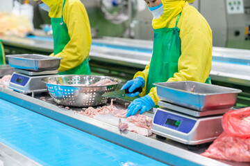 Wall Mural - Worker cut and trim chicken meat on white cutting board and weighing.