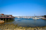 Fototapeta  - Boats at Monterey Marina by the Old Fisherman's Wharf - California, USA