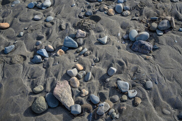 Wall Mural - sea ​​pebbles on the sand of the beach 5