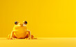 Creative animal concept, macro shot of yellow frog over yellow pastel bright background.