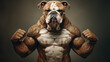 Portrait of  strongman dog, athletic bodybuilder, fitness concept art, abstract surrealistic animal in human pose