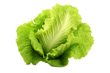 Wall Mural - Green fresh lettuce isolated on white background, close up view.generative ai