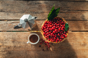 Sticker - Coffee cherry beans in a basket placed on a wooden table