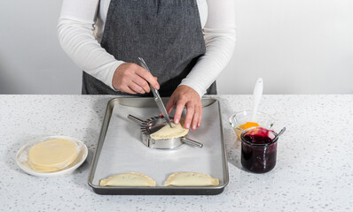 Sticker - Empanadas with Blueberries