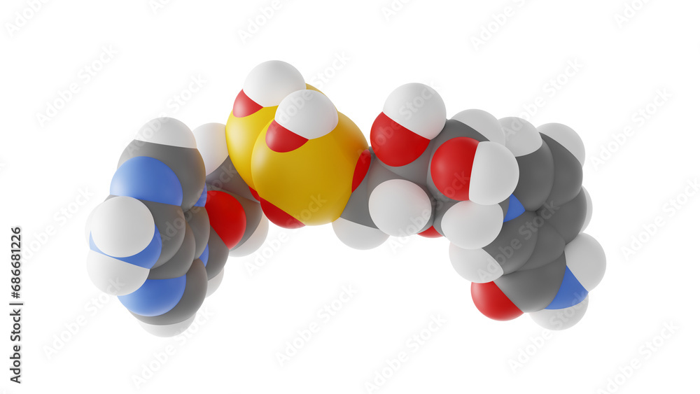 nad+ molecule, oxidizing agent, molecular structure, isolated 3d model van der Waals
