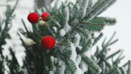 Wall Mural - 2024 Happy New Year Christmas tree decorates with red glass ball on branch snow outdoors for family winter holiday. Festival mood. Noel. High quality FullHD footage