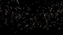 Gold Color Confetti Animation. Alpha Channel PNG Codec (only Original 4K Version) Transparent Background. Streamlabs OBS Overlay. Graduation, Party, Happy Birthday, Wedding And New Year Concept
