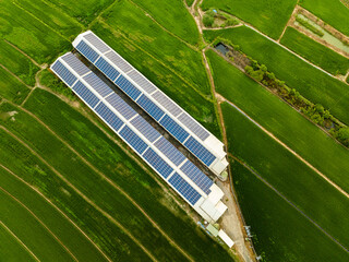 Sticker - Overlooking farm paddy fields and solar farms