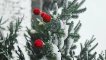 2024 Happy New Year Christmas Tree Decorates With Red Glass Ball On Branch Snow Outdoors For Family Winter Holiday. Festival Mood. Noel. High Quality FullHD Footage