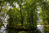 Fototapeta Sawanna - Kępa drzew nad jeziorem oddzielona strumieniem.