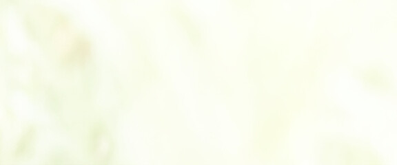Wall Mural - abstract soft vignette blurred texture pastel green gradient background concept for your graphic design, white and green abstract background, bokeh blurred beautiful shiny lights.