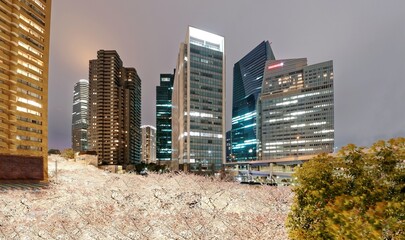 Wall Mural - Night scenery of Roppongi Ark Hills in Tokyo downtown during sakura season, with a view of high rise skyscrapers & illuminated Japanese cherry blossoms ~ Beautiful urban skyline of Tokyo in springtime