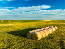 Two Rows Of Large Round Hay Bales In A Field At Sunrise With Blue Sky And Clouds, West Of Calgary; Alberta, Canada
