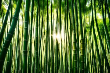 Wall Mural - A dense bamboo forest with sunlight filtering through the tall, green stalks.
