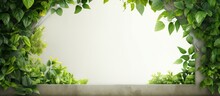 Green Tree With White Window Surrounded By Climbing Plants Copy Space Image Place For Adding Text Or Design
