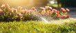 Irrigation service makes flowers and grass grow in the garden with a sprinkler under the sun Copy space image Place for adding text or design