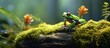 Indonesian tree frog resembling laughing sitting on moss Copy space image Place for adding text or design