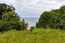 Ocean View From Knights Point On The West Side Of The South Island Of New Zealand