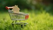 Buying a house, building repair and mortgage concept. Estimation real estate property with loan money and banking. House in shopping cart on green grass background. 