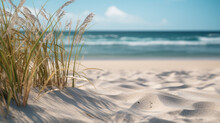 Low Angle Beach And Sea Free Stock Photo - Public Domain Pictures