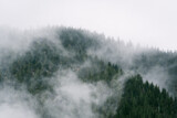 Fototapeta  - Misty mountain views from hiking trail along Snoqualmie Pass in Washington