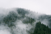 Misty Mountain Views From Hiking Trail Along Snoqualmie Pass In Washington