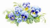 the blue garden tricolor pansy flower. Viola tricolor, viola arvensis, heartsease, violet, kiss-me-quick. Hand drawn botanical watercolor painting illustration isolated on white background