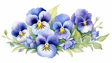 The Blue Garden Tricolor Pansy Flower. Viola Tricolor, Viola Arvensis, Heartsease, Violet, Kiss-me-quick. Hand Drawn Botanical Watercolor Painting Illustration Isolated On White Background