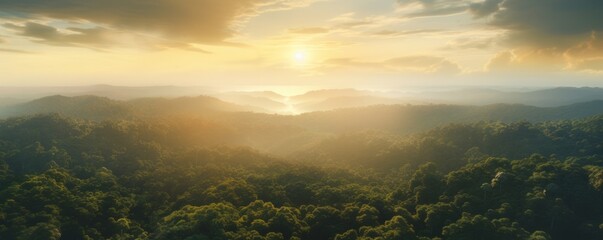 Top view of beautiful green amazon forest landscape at sunset sunrise. Air dron view vibe. AI generated.