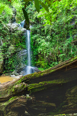 Wall Mural - Monthatharn Waterfall in Chiang Mai Province