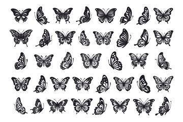 Canvas Print - Vector monarch butterfly silhouette set cutout insect wing wing animal summer spring nature fly collection. Moth beautiful design