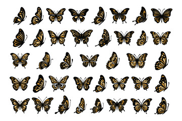 Wall Mural - vector monarch butterfly black and orange silhouette set cutout insect wing wing animal summer sprin
