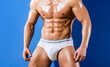 © Volodymyr - Men underwear body. Sexy model in underwear. Underpants concept. Muscular male model in underwear. Man with fit, strong muscular body posing in underwear. Concept of man health. Perfect body and skin.