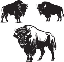 Wall Mural - Bison silhouette vector A set of 3 bison vectors on white background