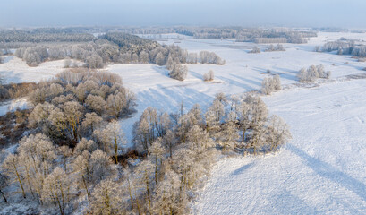 Wall Mural - winter landscape - white trees covered with hoarfrost - aerial view