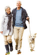 Digital png photo of happy caucasian senior couple walking with dog on transparent background