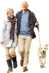Wall Mural - digital png photo of happy caucasian senior couple walking with dog on transparent background