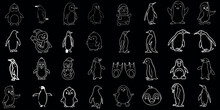 Conjunto De Ilustraciones Vectoriales De Pingüinos, Perfecto Para Libros Infantiles, Tarjetas De Felicitación. Diferentes Poses, Estilos, Arte Lineal De Pingüinos Dibujados A Mano, Bocetos, Garabatos