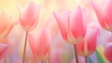 Fototapeta Tulipany - Soft colors and lovely tulips adorn an abstract background