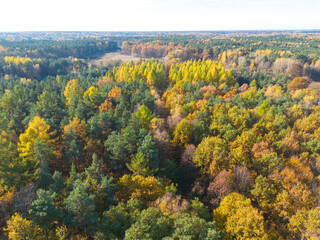 Sticker - Aerial view of a rural road with  in yellow and orange autumn fo