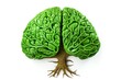 a green brain with a brown root